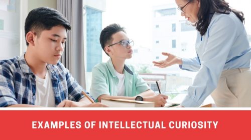 6 Examples To Understand What Intellectual Curiosity Is - Number Dyslexia