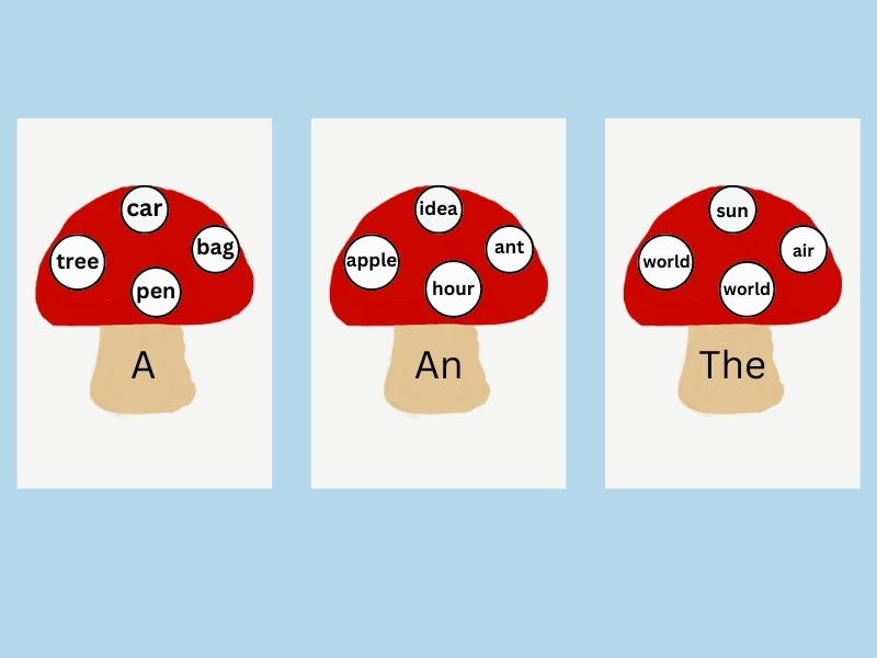 Article mushrooms