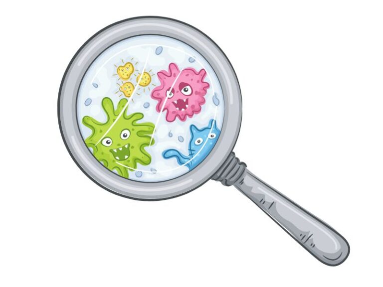 Examples Of Decay In A Sentence – TWPGX